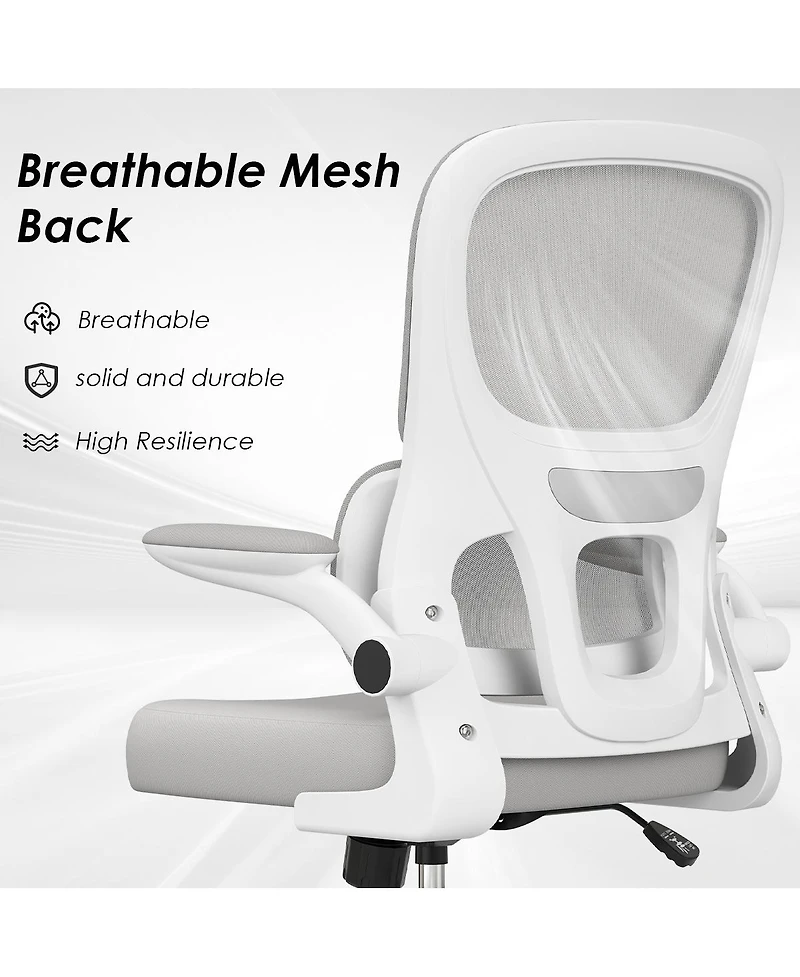 flynama Mesh Ergonomic Office Chair,Flip-Up Armrest Lumbar Support Chair