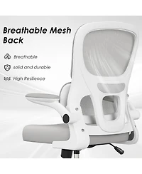 flynama Mesh Ergonomic Office Chair,Flip-Up Armrest Lumbar Support Chair