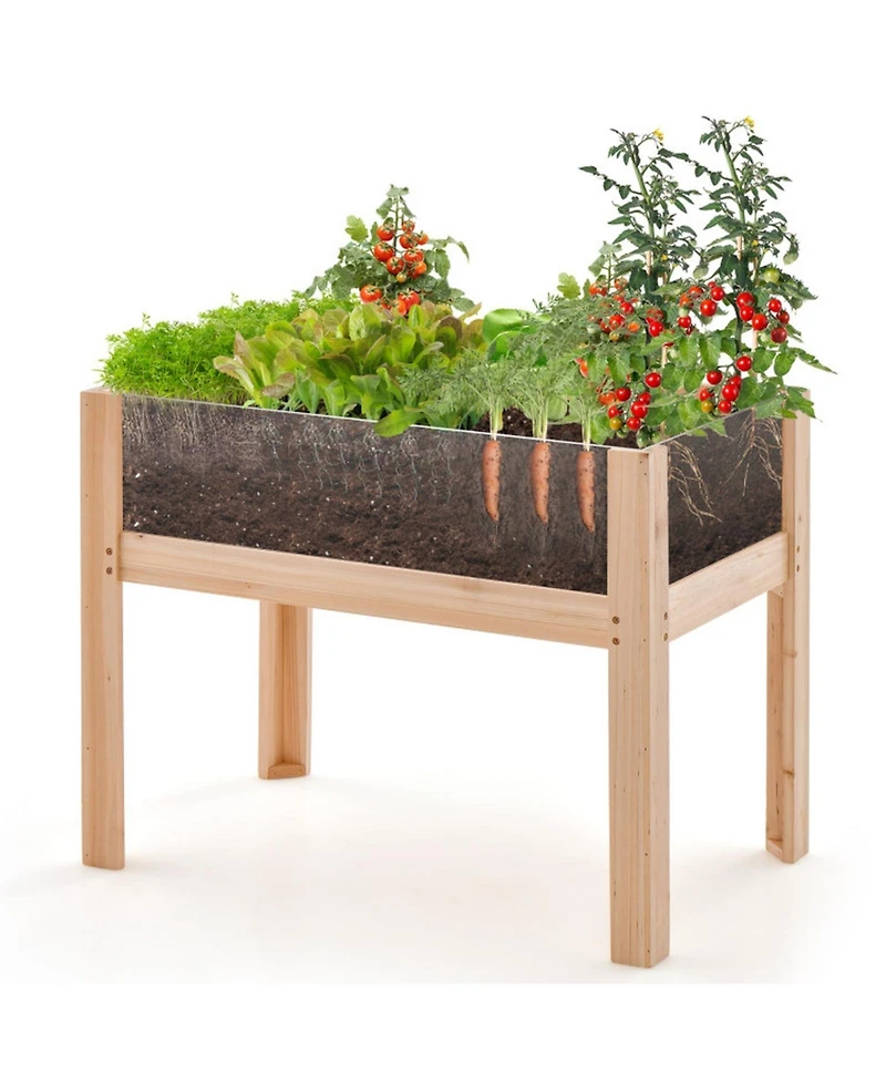Gouun Fir Wood Raised Garden Bed with Acrylic Side Panels