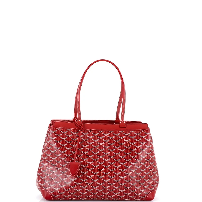 Pre-Owned Goyard Pm Bellechasse Bag Coated Canvas