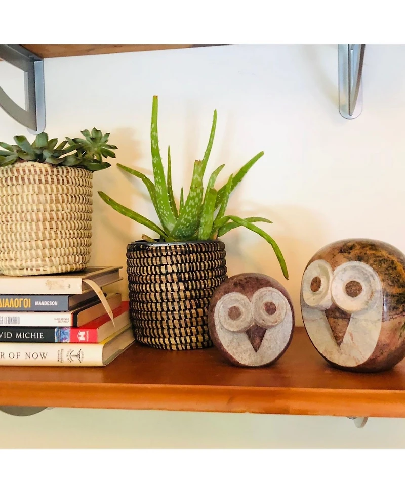 Mbare Succulent Basket Planter