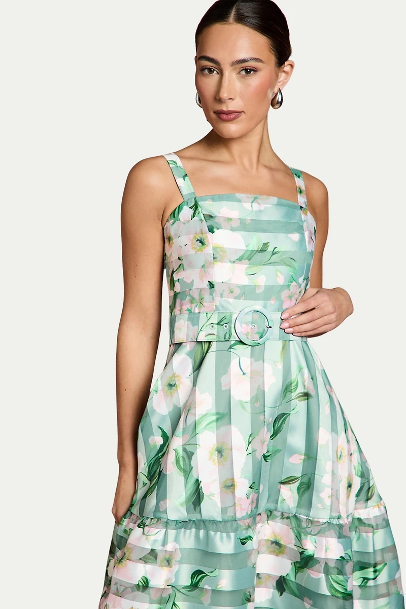 Coast Women's Burnout Organza Midi Dress