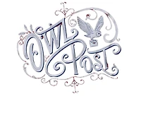 Harry Potter Men's Owl Post T Shirt