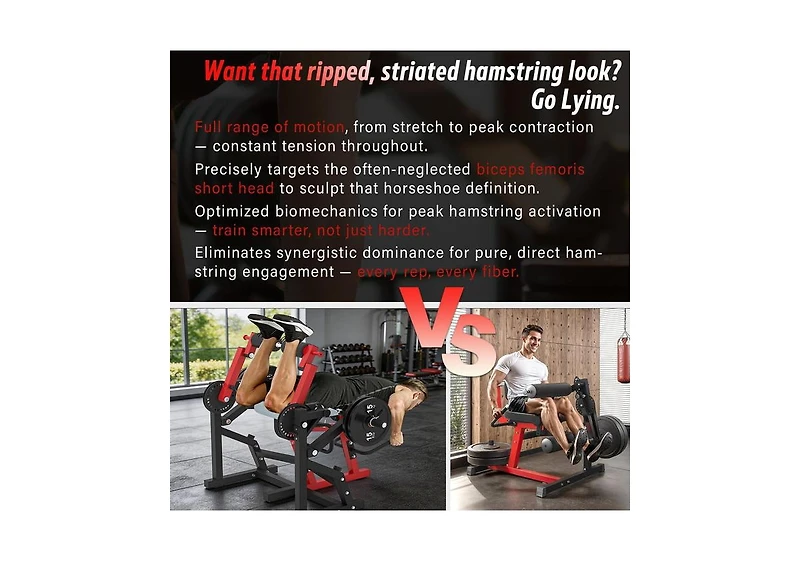 Aecojoy Leg Extension and Curl Lower Body Workout Machine Convertible Seated Extension and Lying Curl Bench
