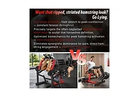 Aecojoy Leg Extension and Curl Lower Body Workout Machine Convertible Seated Extension and Lying Curl Bench
