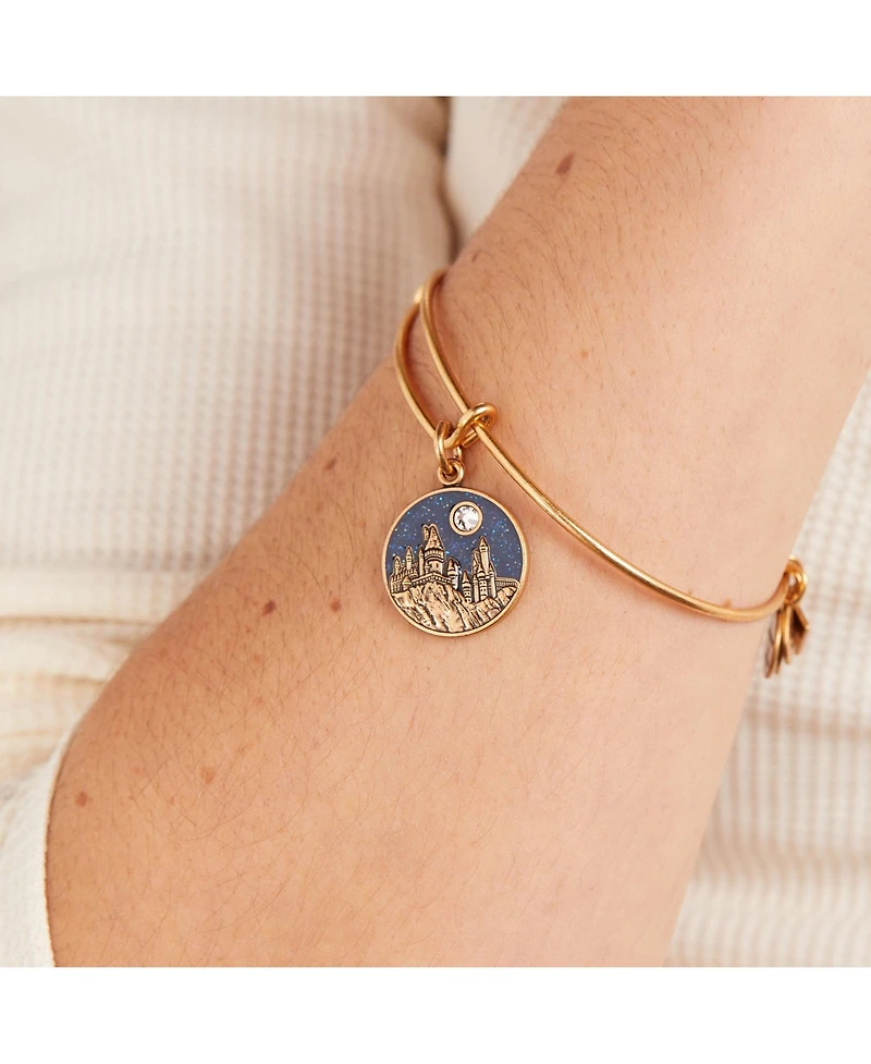 Alex and Ani Harry Potter Hogwarts Castle Charm Bangle