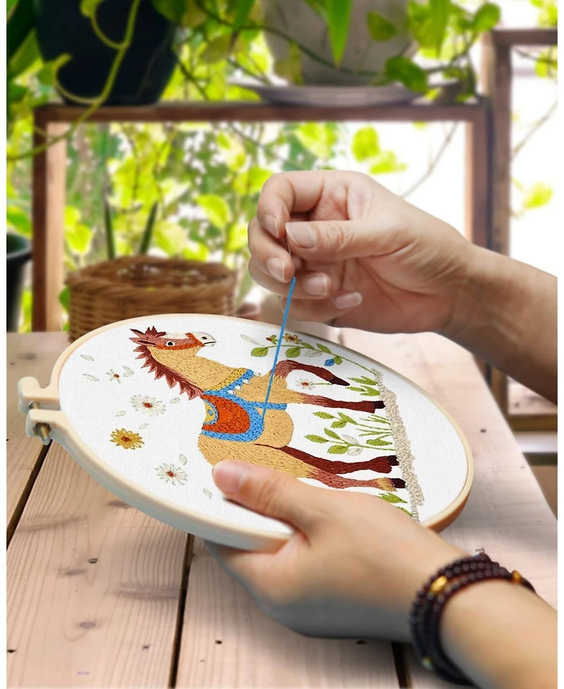 Gnuadz 3 Pack Embroidery Kit Horse Stamped Patterns Hoop Tools Threads