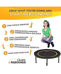 Leaps & ReBounds Round Mini Fitness Trampoline & Rebounder Indoor Home Gym Exercise Equipment Low Impact Workout for Adults