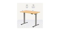 FlexiSpot E2 40" x 24" Electric Height-Adjustable Standing Desk