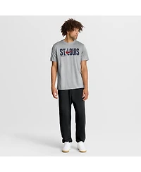 Nike Men's Heather Gray St. Louis Cardinals Swoosh Legend Dri-fit T-Shirt