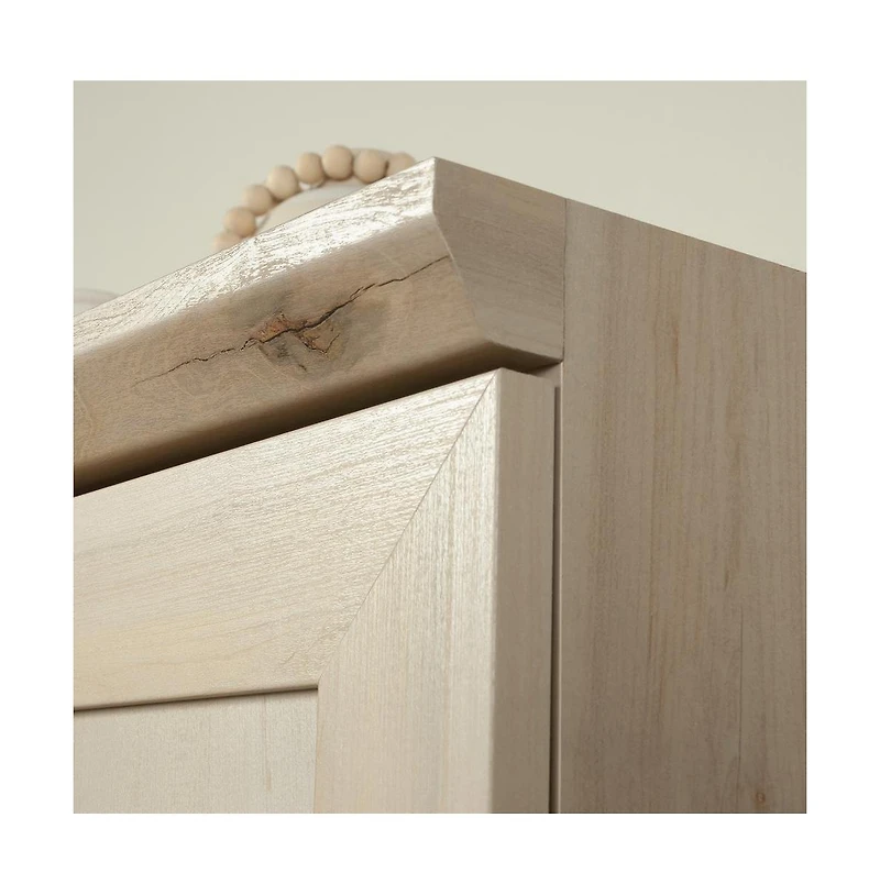 Sauder HomePlus Storage Cabinet