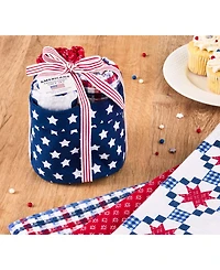 Design Imports Patriotic Dishtowel Gift Set