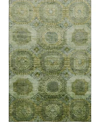 Addison Mayfield AMF1944 8'x10' Area Rug