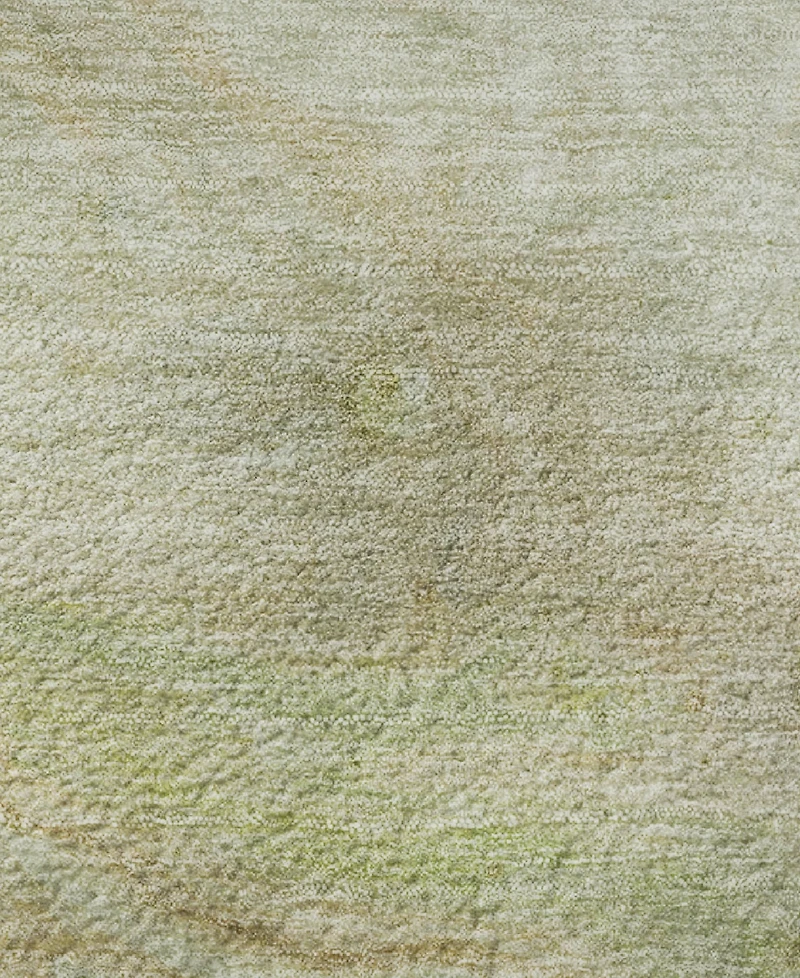Addison Mayfield AMF1941 10'x14' Area Rug