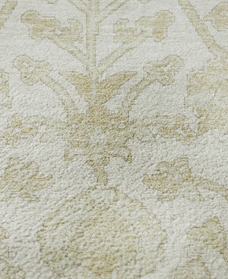 Addison Mayfield AMF1973 5'x7'6" Area Rug