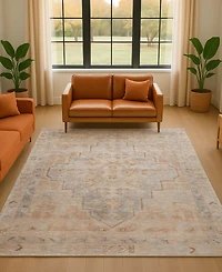 Addison Mayfield AMF1918 5'x7'6" Area Rug