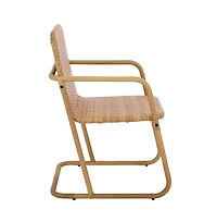 Augusta Home Drew Outdoor Dining Chair (Set of 2)