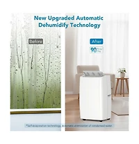 Xo 3-In-1 Portable Air Conditioners, Cooling Up to 750 Sq. Ft, 14000 Btu