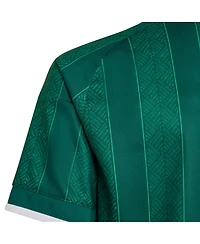 Adidas Big Boys and Girls Green South Africa National Team 2026 Away Replica Jersey