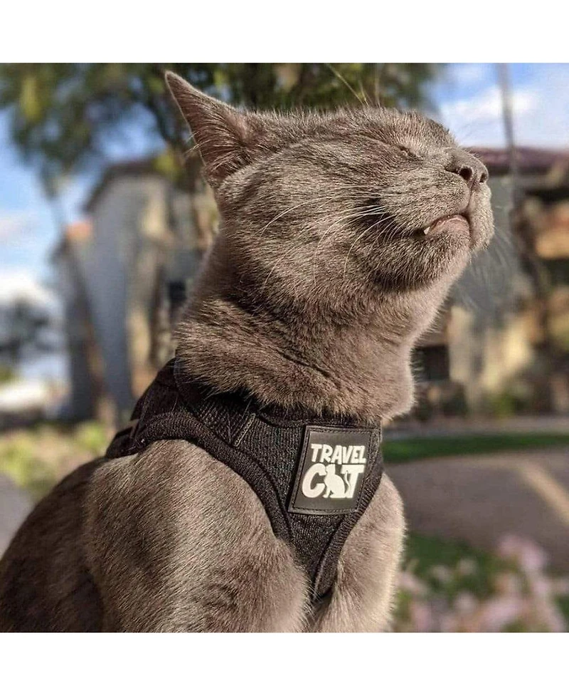 Travel Cat The True Adventurer Reflective Harness Leash Set