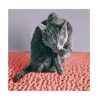 CatGuru Cat Litter Mat