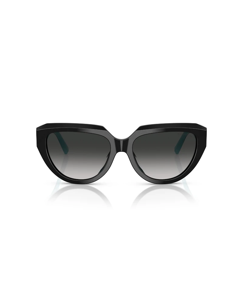 Tiffany & Co. Women's Sunglasses, TF4238U