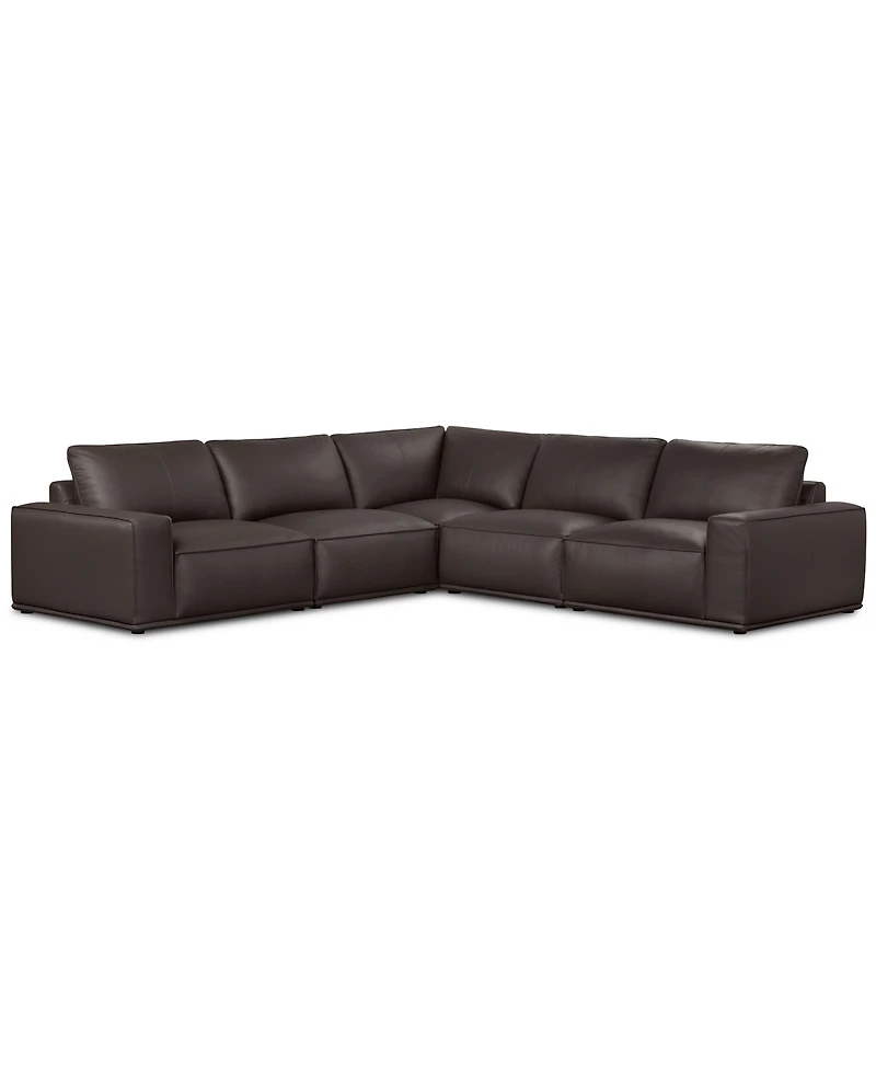 Paitlyn 5-Piece Leather L-Shape Sectional