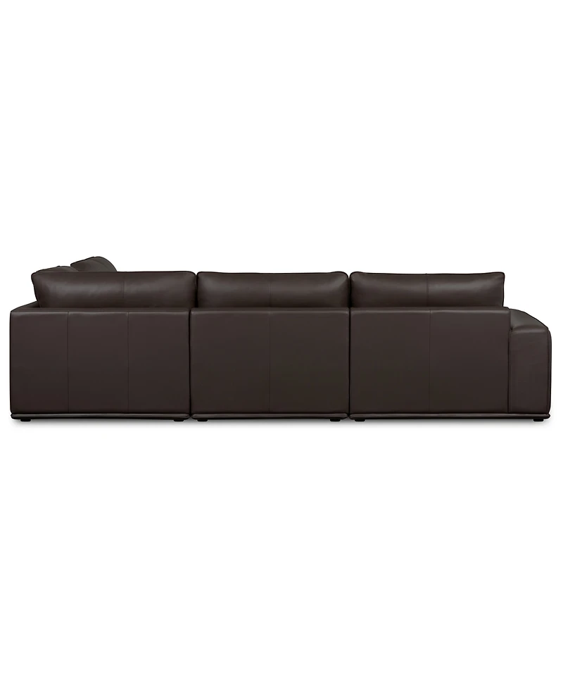 Paitlyn 4-Piece Leather Sectional