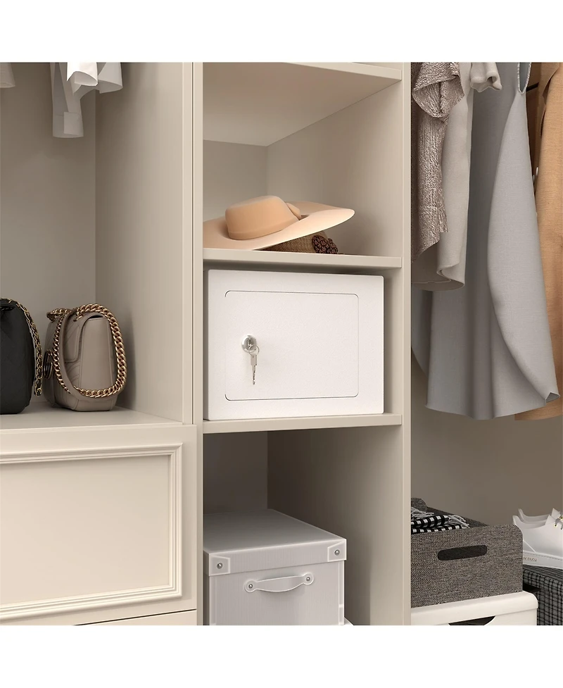 Clihome Mini Storage Cabinet Secure Safe With Key and Password for Home Use