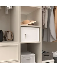 Clihome Mini Storage Cabinet Secure Safe With Key and Password for Home Use