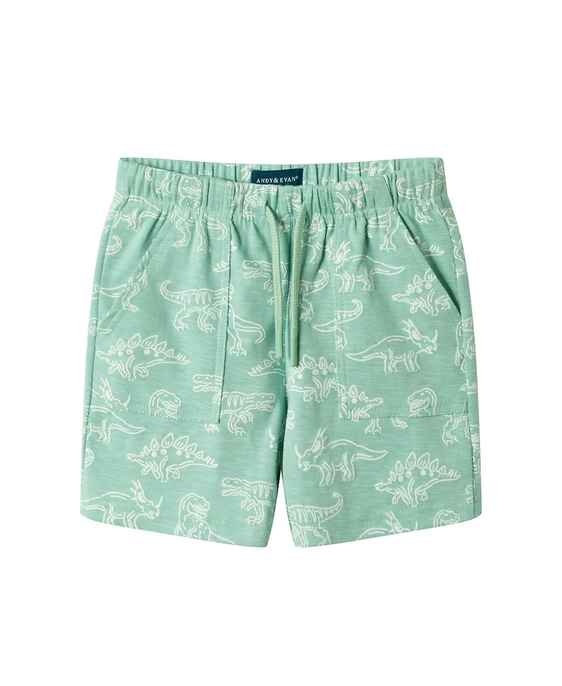 Andy and Evan Toddler Boys Graphic Print Henley Set