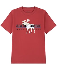 abercrombie kids Boys' 5-16 Short-Sleeve T-Shirt