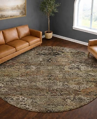 Dalyn Aristo AR4 8'x8' Round Area Rug