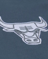 Mitchell & Ness Men's Blue Chicago Bulls Thunderstorm T-Shirt
