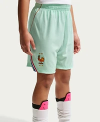 Nike Big Boys and Girls Green France National Team 2026 Away Stadium Replica Shorts
