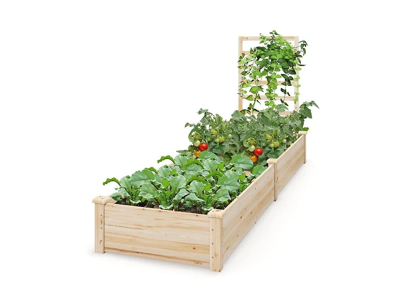 Lucky One Raised Garden Bed with Planter Box and Trellis for Climbing Plants