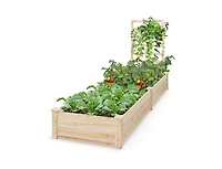 Lucky One Raised Garden Bed with Planter Box and Trellis for Climbing Plants