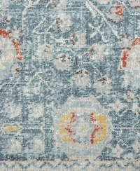 Lr Home Heirloom Ant 452 Rug Collection