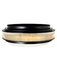 Cwi Lighting Valdivia 5-Light 22" Metal Flush Mount Ceiling Light
