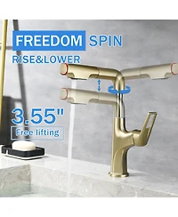 Phying Brushed Gold Pull-Down Vessel Faucet