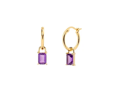 Little Sky Stone Iris Birthstone Hoops Earing