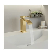 Phying Single Handle Bathroom Faucet Lavatory Faucet Stainless Steel Single Hole-tp