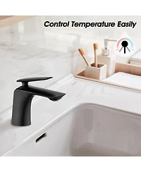 Phying Single Hole Bathroom Sink Faucet with Pop Up Drain and Water Supply Hose, Single Handle Bathroom faucet