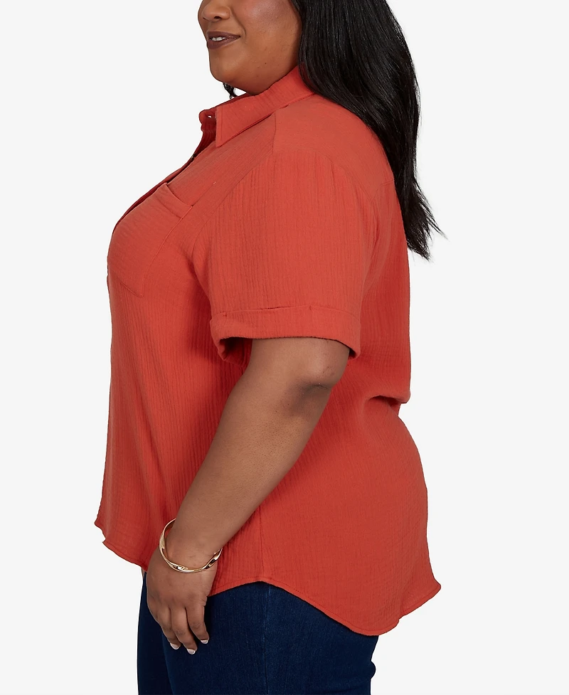 Hearts Of Palm Plus Solid Henley Popover Top
