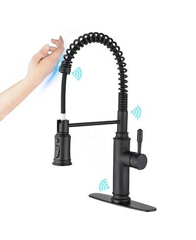 Phying Touch Kitchen Faucet with Pull Down Sprayer