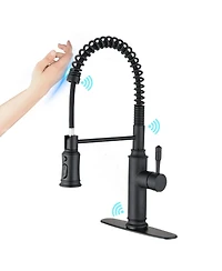 Phying Touch Kitchen Faucet with Pull Down Sprayer