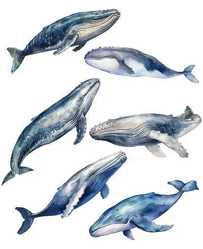 Designocracy Holiday Wooden Clip-On Ornaments Humpback Whales Set of 6 G. DeBrekht