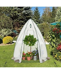 Gouun Portable Walk-In Mini Greenhouse with All-Weather Pe Cover