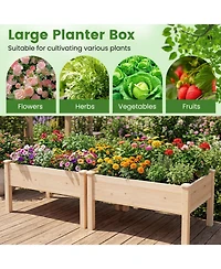Gouun Wooden Raised Garden Bed Set of 2 with Legs Elevated Fir Wood Planter Box