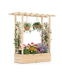 Gouun 45 in Tall Wooden Raised Garden Bed with Side Trellis and Hanging Roof